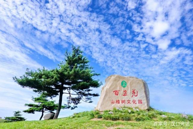 山楂樹文化園”有座老電影館 百里荒與電影結...